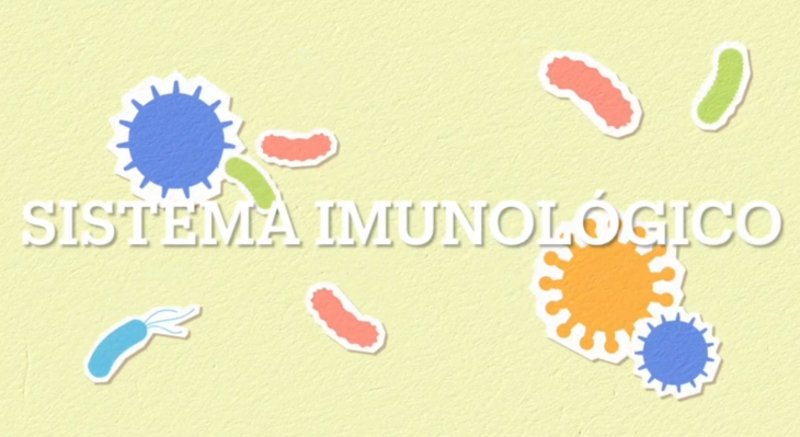 Workshop 5 — Sistema Imunológico.  Como fortalecer e equilibrar o sistema imunitário.